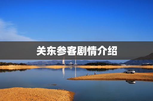 关东参客剧情介绍