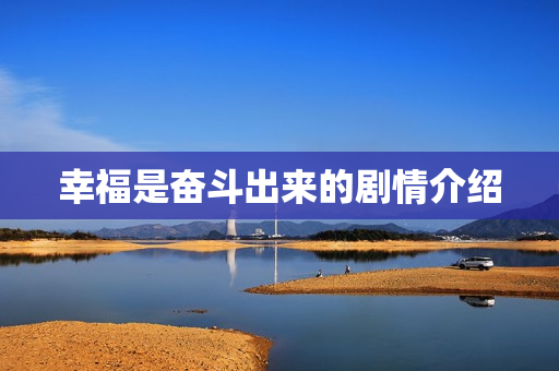 幸福是奋斗出来的剧情介绍