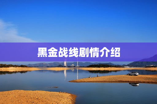 黑金战线剧情介绍