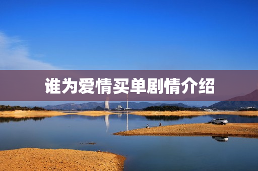 谁为爱情买单剧情介绍