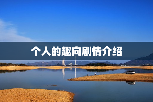 个人的趣向剧情介绍