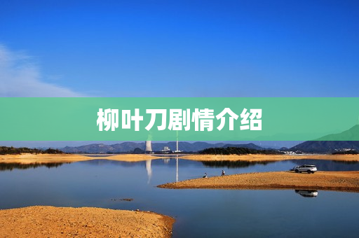 柳叶刀剧情介绍