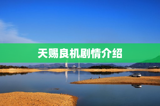 天赐良机剧情介绍