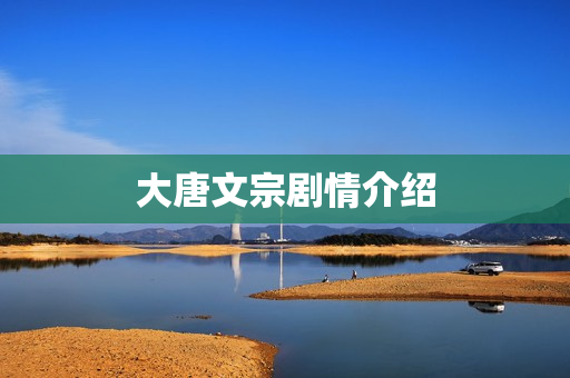 大唐文宗剧情介绍