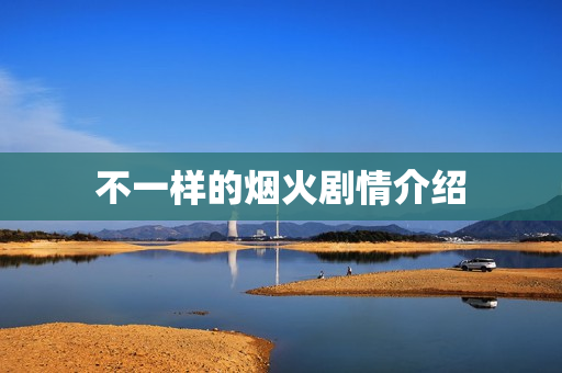 不一样的烟火剧情介绍