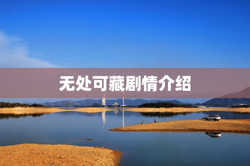 无处可藏剧情介绍