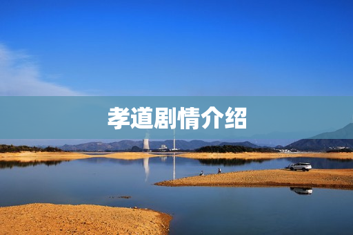 孝道剧情介绍