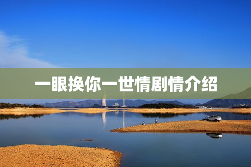 一眼换你一世情剧情介绍