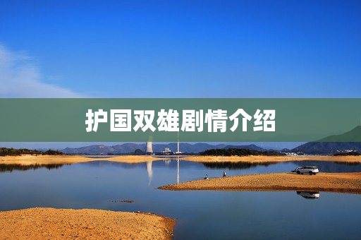 护国双雄剧情介绍