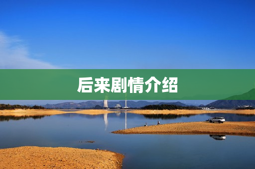 后来剧情介绍