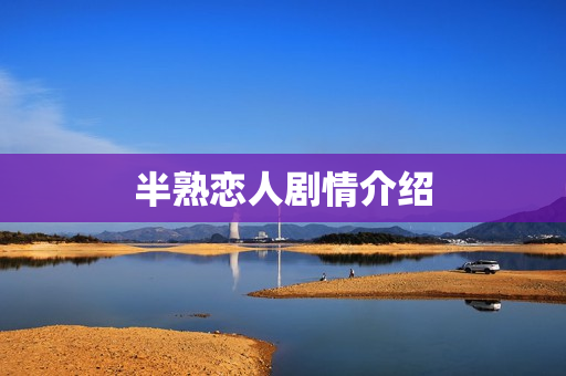 半熟恋人剧情介绍