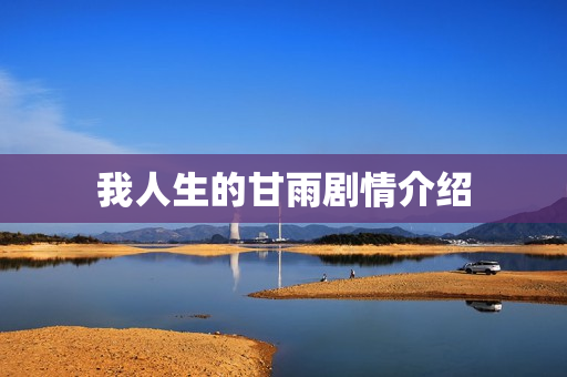 我人生的甘雨剧情介绍