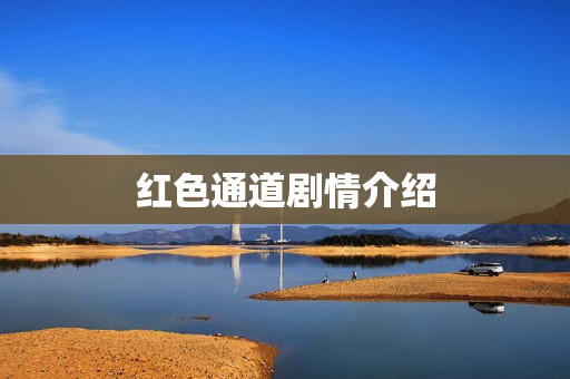红色通道剧情介绍