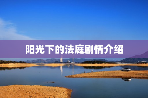 阳光下的法庭剧情介绍