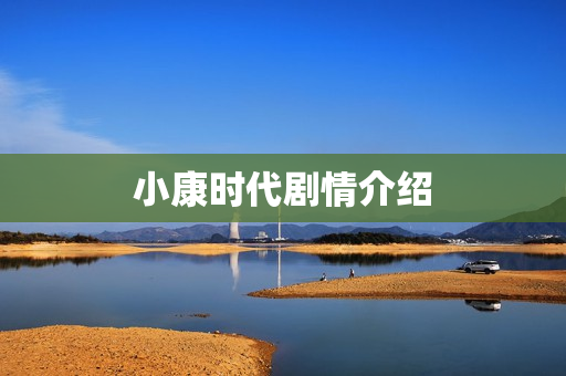 小康时代剧情介绍