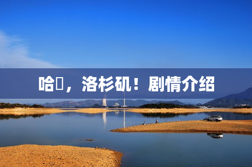 哈啰，洛杉矶！剧情介绍