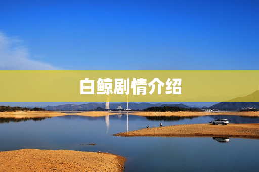 白鲸剧情介绍