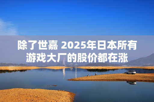 除了世嘉 2025年日本所有游戏大厂的股价都在涨 除了世嘉 2025年日本所有游戏大厂的股价都在涨