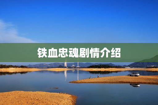 铁血忠魂剧情介绍