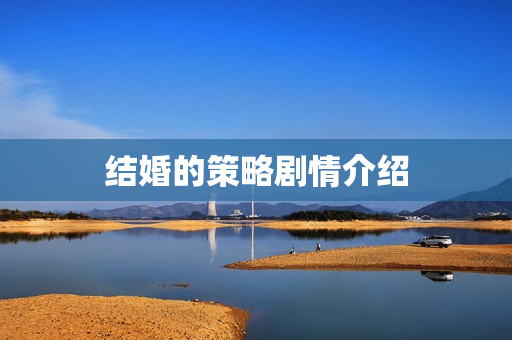 结婚的策略剧情介绍