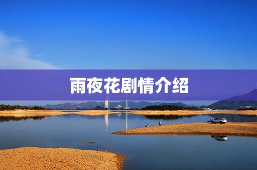 雨夜花剧情介绍