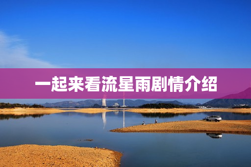 一起来看流星雨剧情介绍