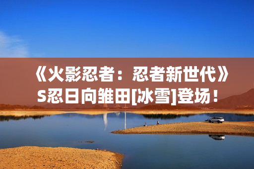 《火影忍者：忍者新世代》S忍日向雏田[冰雪]登场！