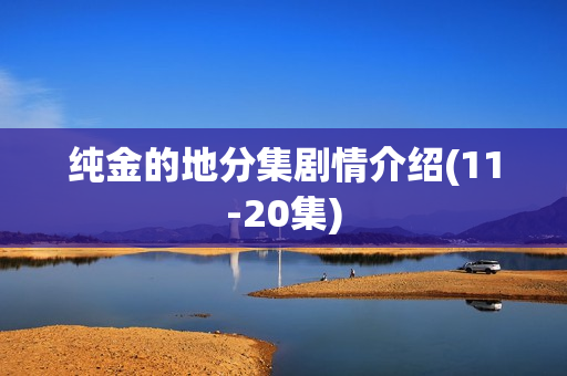 纯金的地分集剧情介绍(11-20集)