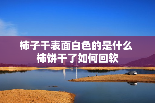 柿子干表面白色的是什么 柿饼干了如何回软