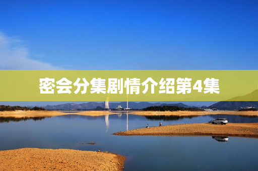 密会分集剧情介绍第4集