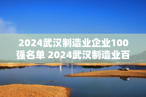2024武汉制造业企业100强名单 2024武汉制造业百强企业排名