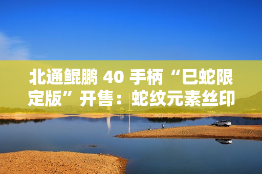 北通鲲鹏 40 手柄“巳蛇限定版”开售：蛇纹元素丝印、搭 TMR 阻尼可调摇杆，首发 309 元