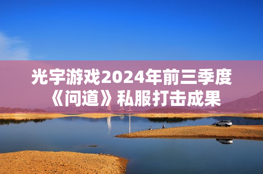 光宇游戏2024年前三季度《问道》私服打击成果