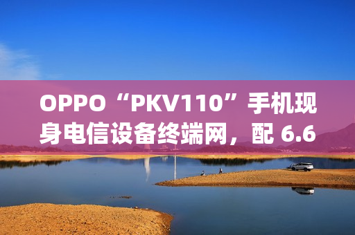 OPPO“PKV110”手机现身电信设备终端网，配 6.67 英寸 1604×720 分辨率屏幕