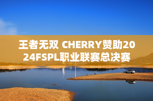王者无双 CHERRY赞助2024FSPL职业联赛总决赛