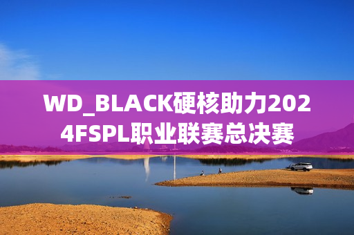 WD_BLACK硬核助力2024FSPL职业联赛总决赛