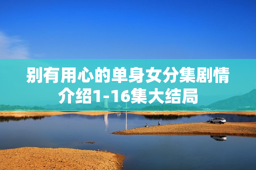 别有用心的单身女分集剧情介绍1-16集大结局