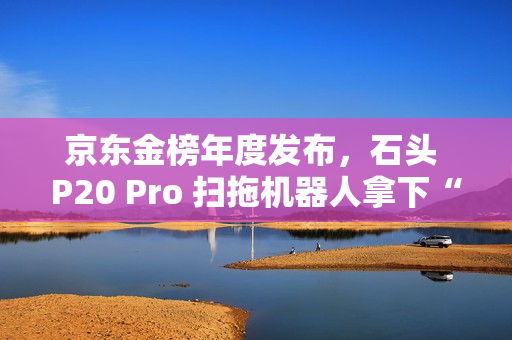 京东金榜年度发布，石头 P20 Pro 扫拖机器人拿下“2024 新品金奖”