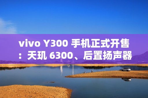 vivo Y300 手机正式开售：天玑 6300、后置扬声器设计，1399 元起