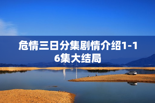 危情三日分集剧情介绍1-16集大结局