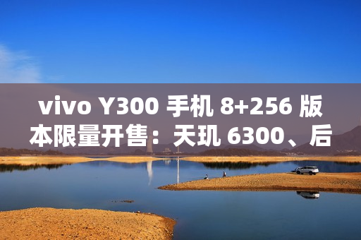vivo Y300 手机 8+256 版本限量开售：天玑 6300、后置扬声器设计，首发 1499 元