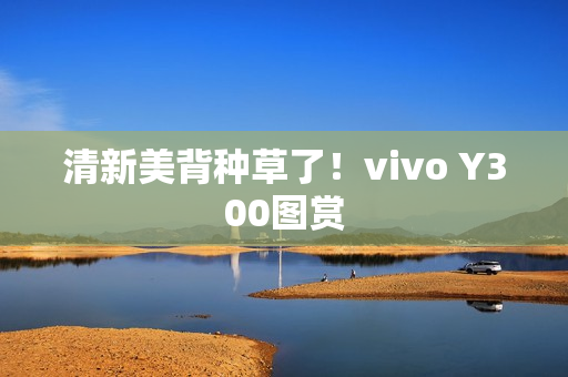 清新美背种草了！vivo Y300图赏