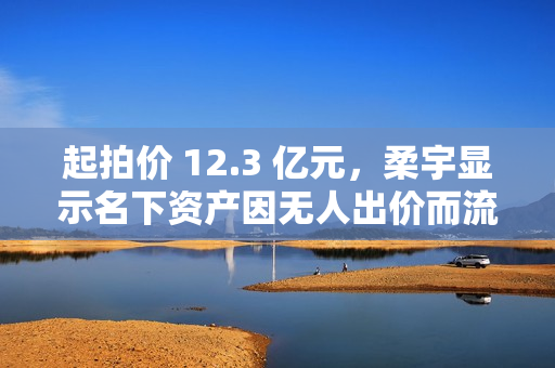 起拍价 12.3 亿元，柔宇显示名下资产因无人出价而流拍