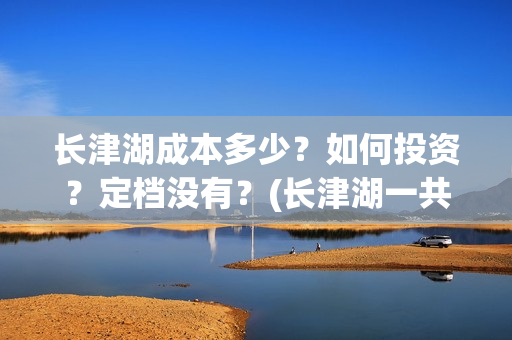长津湖成本多少？如何投资？定档没有？(长津湖一共投资多少钱)