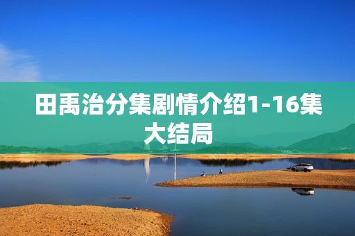 田禹治分集剧情介绍1-16集大结局