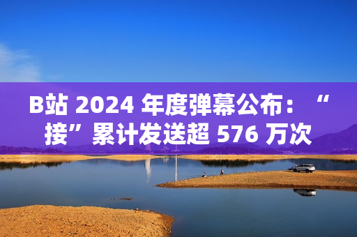 B站 2024 年度弹幕公布：“接”累计发送超 576 万次