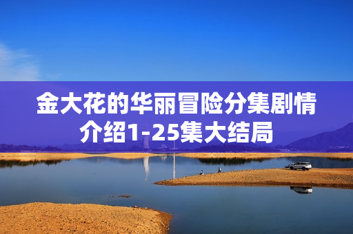 金大花的华丽冒险分集剧情介绍1-25集大结局