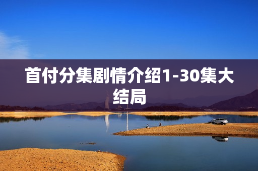 首付分集剧情介绍1-30集大结局