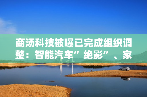 商汤科技被曝已完成组织调整：智能汽车”绝影”、家庭机器人“元萝卜”等业务将拆分为独立公司