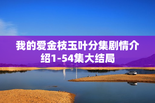 我的爱金枝玉叶分集剧情介绍1-54集大结局